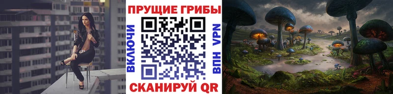 Галлюциногенные грибы прущие грибы  Нальчик 
