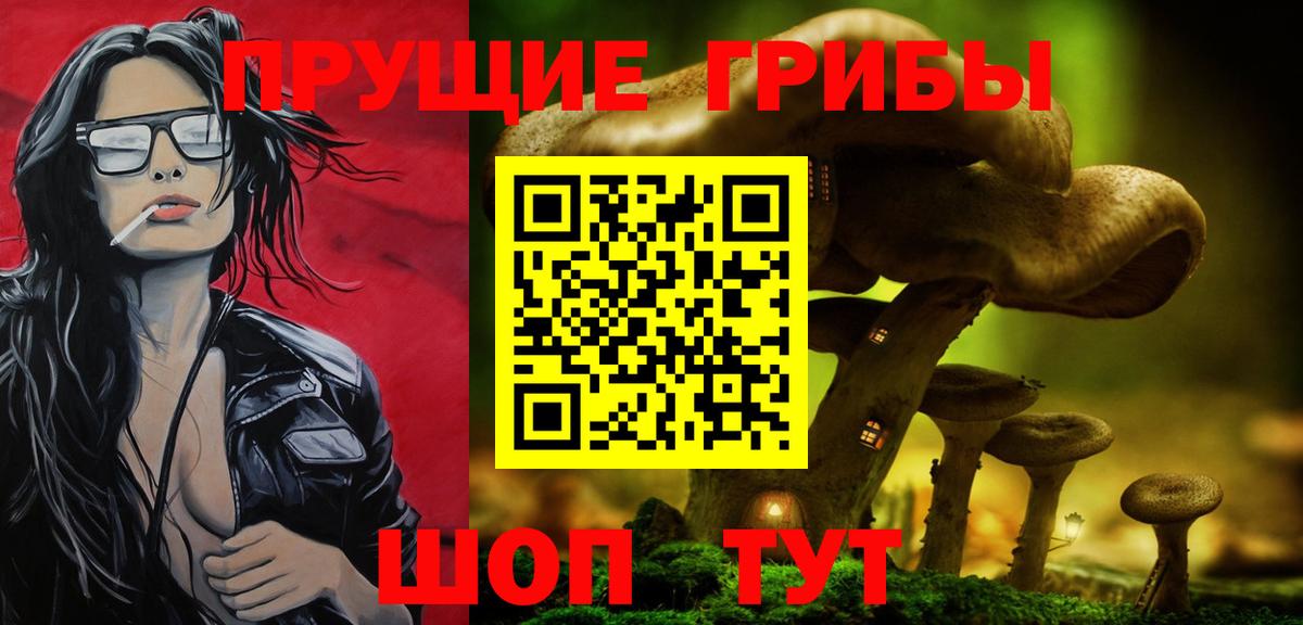 Псилоцибиновые грибы Psilocybe Нальчик